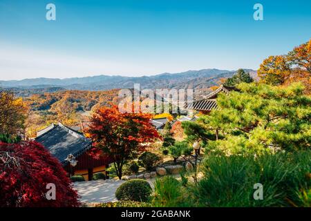 Herbst des Buseoksa-Tempels in Yeongju, Korea Stockfoto