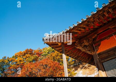 Herbst des Buseoksa-Tempels in Yeongju, Korea Stockfoto