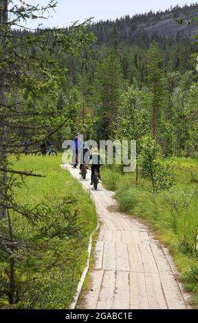 Familie, die Mountainbikes auf dem skandinavischen Outdoor Causeway-Wanderweg reitet Stockfoto