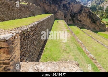 Landwirtschaftliche Terrassen der Inka in Ollantaytambo, Heilige Tal der Inkas, Peru Stockfoto