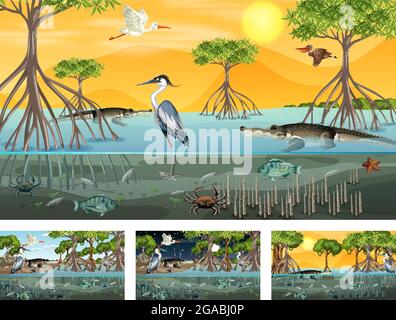 Verschiedene Mangrovenwaldlandschaftsszenen mit Tieren und Pflanzen Illustration Stock Vektor