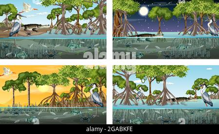 Verschiedene Mangrovenwaldlandschaftsszenen mit Tierdarstellung Stock Vektor