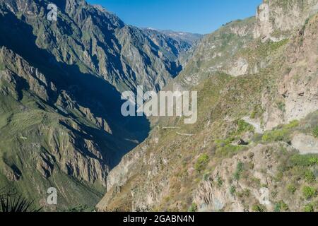 Steile Wände des Colca Canyon, Peru Stockfoto