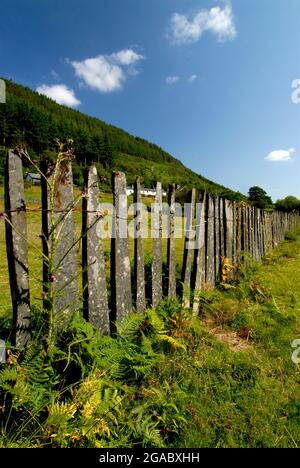 Schieferzäune in Corris Village, Gwynedd Wales, Großbritannien Stockfoto
