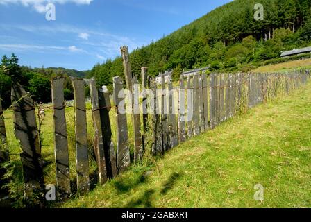 Schieferzäune in Corris Village, Gwynedd Wales, Großbritannien Stockfoto
