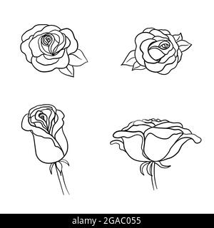 Set Mit Rosenblüten. Bleistift Skizze Blumen mit Blättern auf Stamm. Grafische Embleme. Von Hand gezeichnete Konturlinien und Konturen. Stock Vektor