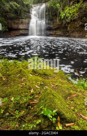 Moosiger Boden vor einem großen Wasserfall Stockfoto