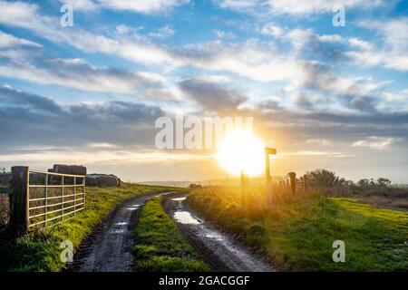 Bauerntraktortor und schlammige Strecke mit Heuballen und niedriger oranger Sonne kurz nach Sonnenaufgang auf einem Hügel in Kimmeridge, Dorset Stockfoto