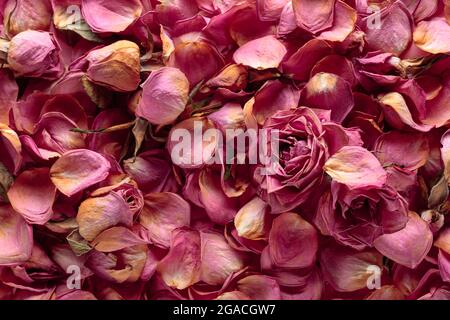 Blumenzusammensetzung. Getrocknete Rosenblüten, Blütenblätter und Blätter. Draufsicht. Stockfoto