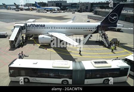 30. Juli 2021, Hessen, Frankfurt/Main: Flugreisende verlassen einen Lufthansa Airbus A320neo auf dem Vorfeld des Frankfurter Flughafens. Für diejenigen, die aus ihren Sommerferien zurückkehren, werden ab diesem Sonntag neue Testverpflichtungen zum Schutz vor einer Corona-Ausbreitung in Kraft treten. Foto: Arne Dedert/dpa Stockfoto