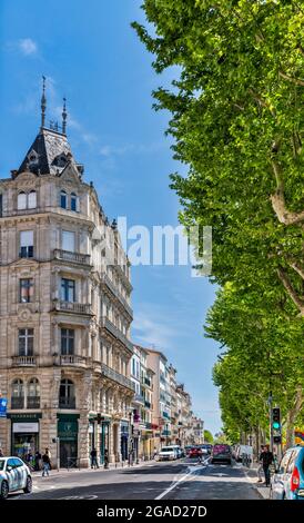 Ahornbäume, Mietshäuser aus dem späten 19. Jahrhundert in Allees Paul Riquet, in Beziers, Departement Herault, Region Oczitanie, Frankreich Stockfoto