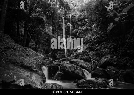 Graustufenaufnahme eines Wasserfalls in moosigen Felsen in einem Wald Stockfoto