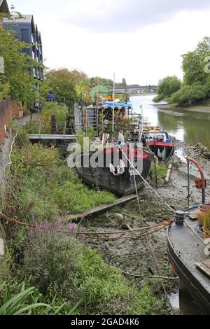 Hausboote liegen am Nordufer der Themse westlich der Kew Bridge, London, Großbritannien. Die Rümpfe ruhen auf Timver-Strahlen, um sie bei Ebbe auf dem Niveau zu halten. Stockfoto