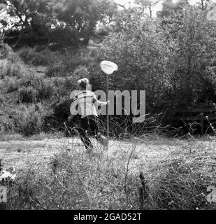 1960er Jahre, historisch, Jagd nach Schmetterlingen... im Sommer und draußen auf dem Land, ein Junge mit seinem Schmetterlingsnetz Jagd nach den schwer fassbaren Schmetterlingen. Stockfoto