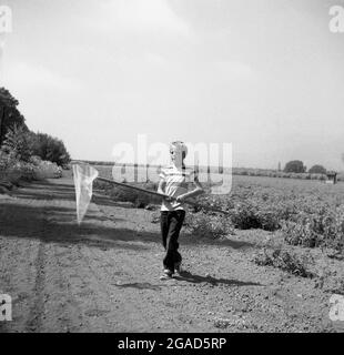 1960er Jahre, historisch, Sommerzeit und draußen auf einem Schotterweg auf dem Land, ein Teenager-Junge mit seinem Schmetterlingsnetz auf der Suche nach Schmetterlingen. Stockfoto