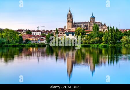 Die Kathedrale von Salamanca spiegelt sich im Fluss Tormes in Spanien wider Stockfoto