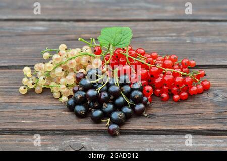 Reife Beeren aus schwarzen, roten und weißen Johannisbeeren auf einem Holztisch. Drei Arten von Johannisbeeren gehören zur Gattung Ribes der Stachelbeere. Stockfoto