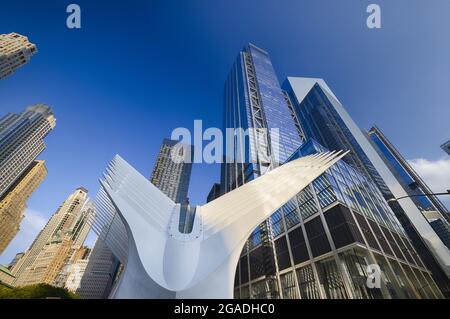 Niedriger Blick auf das Oculus World Trade Center, man hattan, New York City, USA Stockfoto