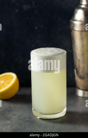 Erfrischender Lemon Gin Fizz mit einem Eierweiß Stockfoto