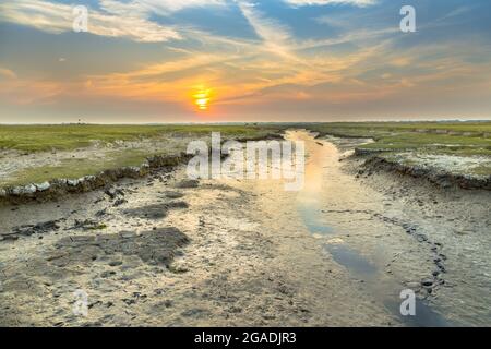 Gezeitenkanal in Salzmarschland mit natürlichem mäandrierenden Abflusssystem auf der watteninsel Ameland in Friesland, Niederlande Stockfoto