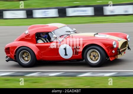 AC Cobra 289 Rennwagen, der beim Langstreckenrennen RAC Tourist Trophy Competing beim Goodwood Revival 2013 teilhat. Oliver Bryant fährt Stockfoto