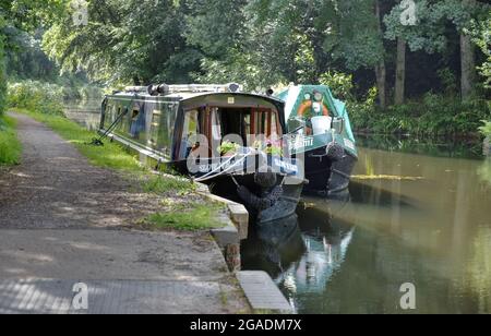 Zwei Narrowboats vertäuten in der Nähe der Schleuse bei Deepcut entlang des wunderschönen Basingstoke Canal in Surrey Stockfoto