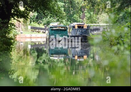 Zwei Narrowboats vertäuten in der Nähe der Schleuse bei Deepcut entlang des wunderschönen Basingstoke Canal in Surrey Stockfoto