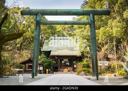 Hotoku Ninomiya Shrine, grüner Torii-Eingang zum japanischen schintoistischen Religionsschrein, gelegen im Odawara Castle Park, Japan. Stockfoto