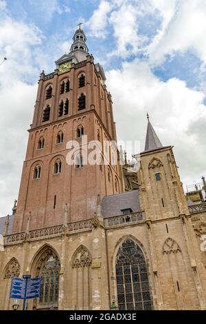 Turm der St. John's Cathedral, Den Bosch, Niederlande Stockfoto