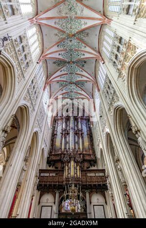 Detail Golforgel in der St. John's Cathedral, Den Bosch, Niederlande Stockfoto