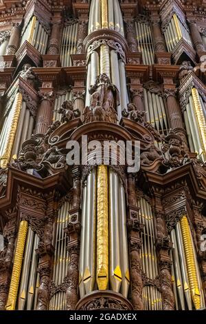 Detail Golforgel in der St. John's Cathedral, Den Bosch, Niederlande Stockfoto