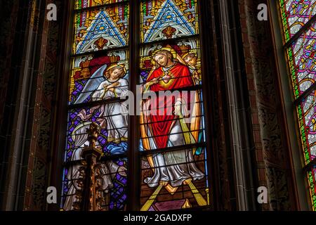 Buntglasfenster, St. John's Cathedral, Den Bosch, Niederlande Stockfoto