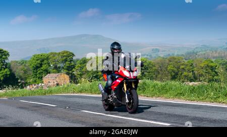 Motorradfahrer auf einem BMW S1000XR Tourenrad auf der A684 in Wensleydale, nahe Hawes, North Yorkshire, Großbritannien. Stockfoto