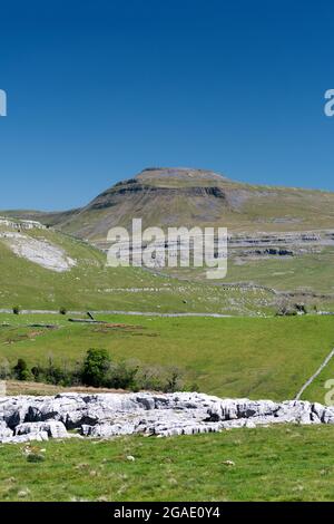 Ingleboorough aus dem Boden von Kingsdale, zeigt die Kalksteingeologie des Gebiets, North Yorkshire, Großbritannien. Stockfoto