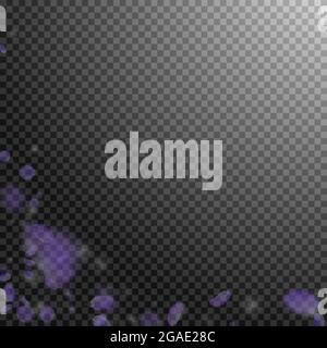 Violette Blütenblätter fallen herunter. Holen romantische Blumen Ecke. Fliegendes Blütenblatt auf transparentem quadratischem Hintergrund. Liebe, Romantik Konzept. Bewunderungswürdige Hochzeitseinladung. Stock Vektor