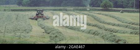 Panoramabild eines Bauern in einem Traktor, der das Gras für Silage mit Streifen auf dem Feld schneidet, West Yorkshire, England. Stockfoto