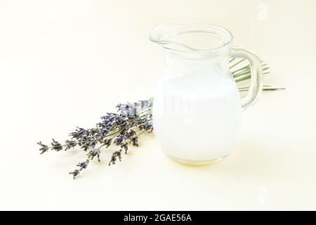 Hausgemachter Bio-Joghurt oder saure Milch im Glaskrug neben getrockneten Lavendelblüten Stockfoto