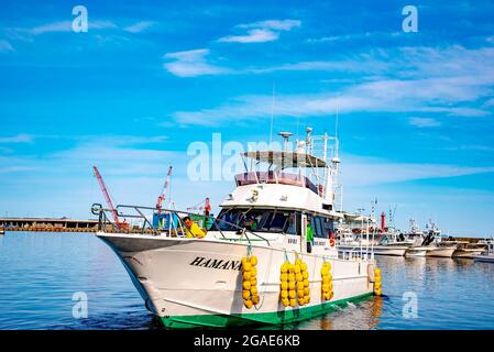 Fischerboote am Rausu Fischerhafen.aufgenommen in Hokkaido Island, Japan am 20. September 2016 Stockfoto