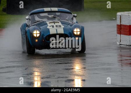 AC Cobra 289 Rennwagen, der beim Langstreckenrennen RAC Tourist Trophy Competation beim Goodwood Revival 2013 unter nassen Bedingungen startet. Regen Stockfoto