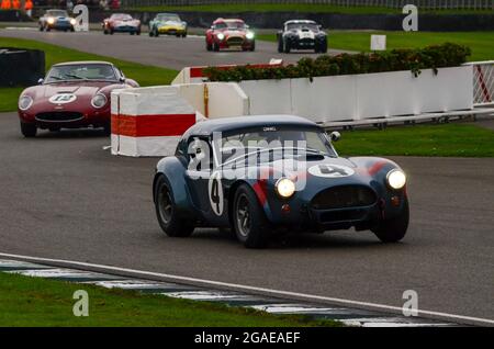 AC Cobra 289 Rennwagen, der beim RAC Tourist Trophy-Langstreckenrennen beim Goodwood Revival 2013 unter dunklen Bedingungen startet. Führende Autos Stockfoto