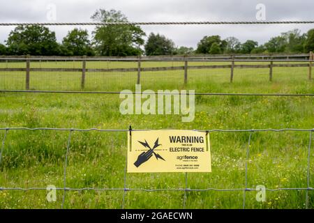 Eingezäuntes Weidefeld, elektrischer Zaun, üppiges Gras, langes Wiesengras Stockfoto