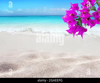 Bougainvillea lila Blumen und Sandstrand. Tropisches Inselparadies. Helles türkisfarbenes Meerwasser. Sandküstenwäsche durch die Welle. Träume Sommer V Stockfoto