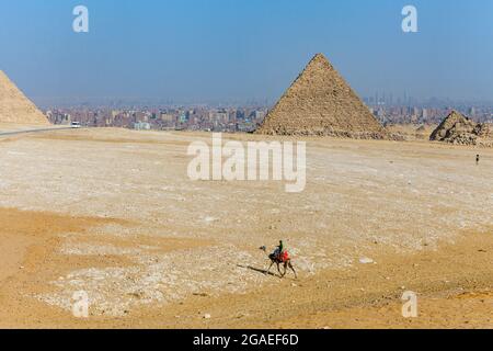 Mann, der auf einem Kamel in der Nähe der Pyramiden Ägyptens reitet Stockfoto