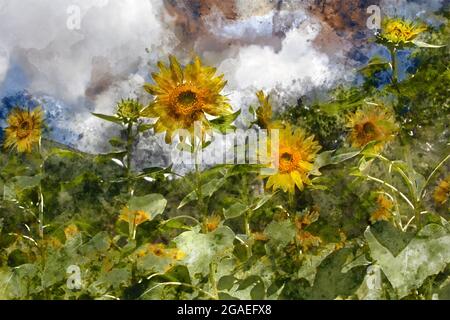 Digitale Aquarell Malerei der schönen Landschaft Bildansicht der Sonnenblume in einem Feld, Japan Stockfoto