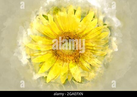 Digitale Aquarell Malerei der schönen Landschaft Bildansicht der Sonnenblume in einem Feld, Japan Stockfoto