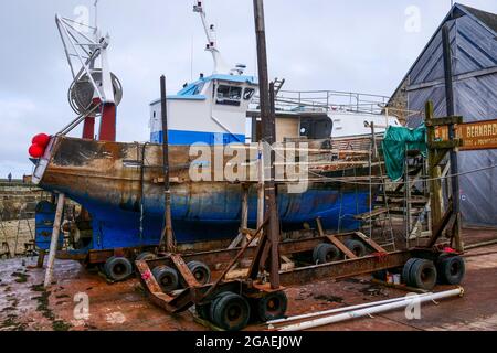 Die Werft in der Dämmerung, Saint-Vaast la Hougue, Cotentin, Normandie, Frankreich Stockfoto