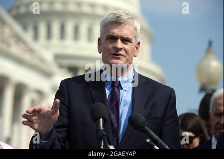 Senator Cassidy Republikaner Demokraten The "Primary Effect": When Political Risk Becomes Political Freedom