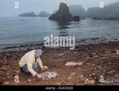 Der Landkünstler James Brunt kreiert am Strand, Dunbar, East Lothian, Schottland, Großbritannien, eine Stein- oder Felsskulptur Stockfoto