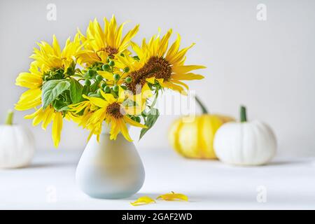 Sonnenblumen in weißer Keramikvase mit Kürbissen auf dem Hintergrund. Sommer, Herbststrauß. Stockfoto