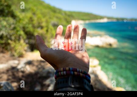 (Selektiver Fokus) Nahaufnahme der Hand einer Person, die eine rote Viruskugel an einem unscharfen Strand hält. Abstraktes virales Modell des Coronavirus. Stockfoto